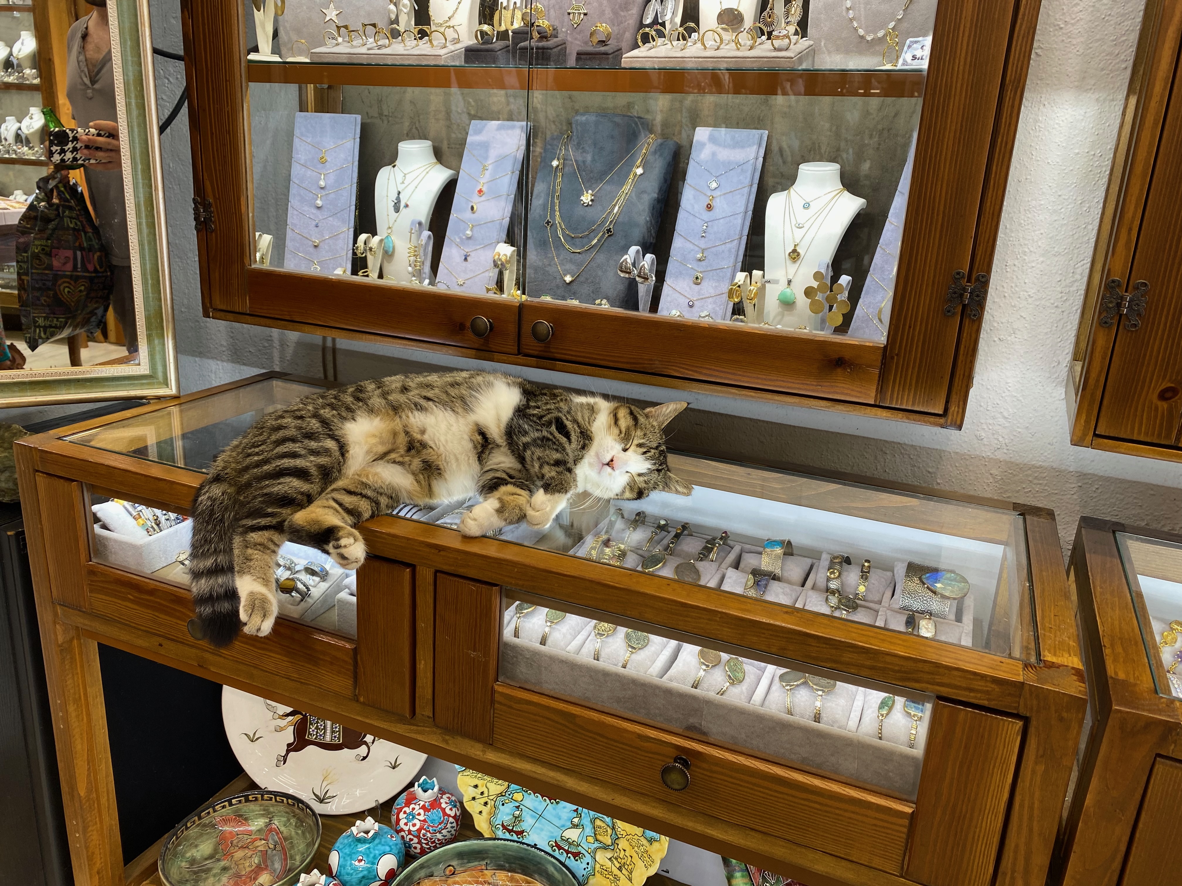 cat in jewelry store, Kaş — photograph by A.B. Quine